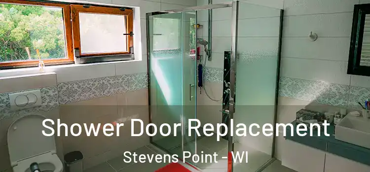 Shower Door Replacement Stevens Point - WI